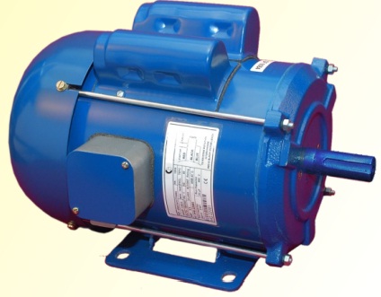 Induction Motor GF 6564 