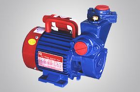 Buy Crompton 0.25 HP Domestic Monoblock 