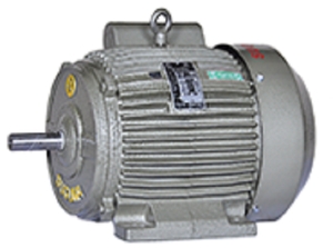 Buy Suguna 1 Phase 2 hp Induction Motor 
