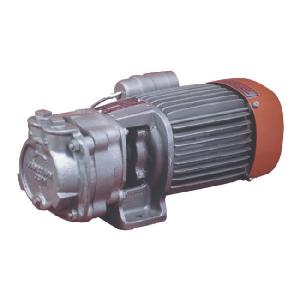 Kirloskar 1 hp Vacuum Pump Single Phase 