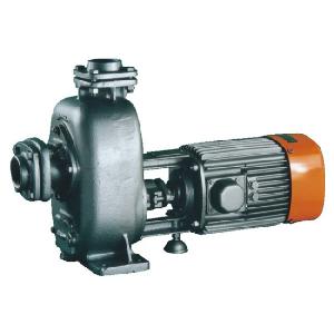Self priming Monoblock Pump 